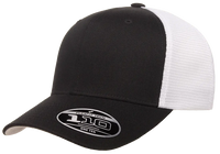 FlexFit 110 Snapback