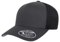 FlexFit 110 Snapback