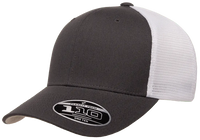 FlexFit 110 Snapback