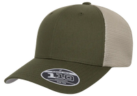 FlexFit 110 Snapback