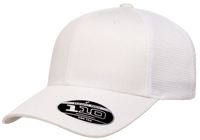 FlexFit 110 Snapback